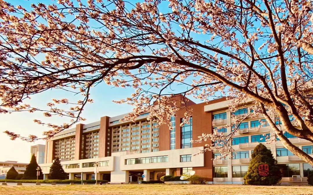 沙巴APP最新版新人权益围绕“四十五